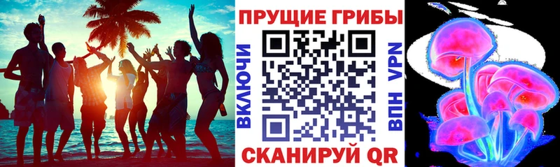 цены   hydra ссылка  Псилоцибиновые грибы Cubensis  Задонск 