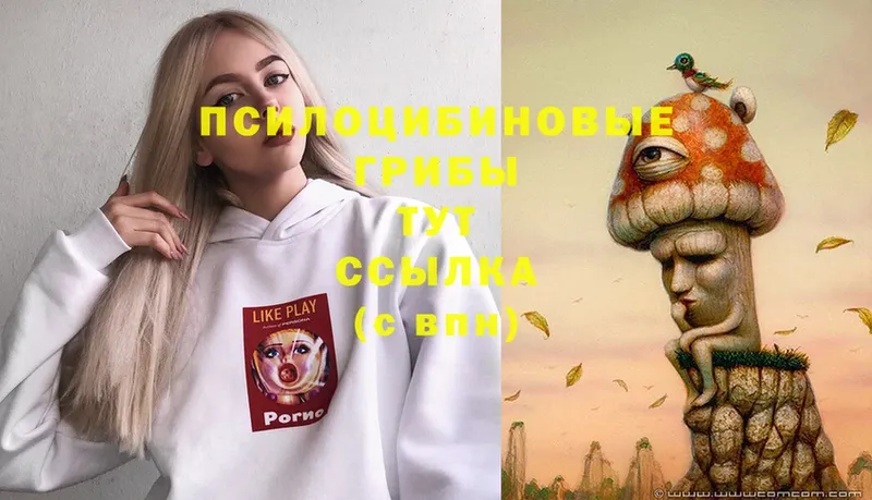 Галлюциногенные грибы Magic Shrooms  OMG сайт  Задонск 