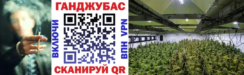 Бошки марихуана Amnesia MEGA как зайти Задонск